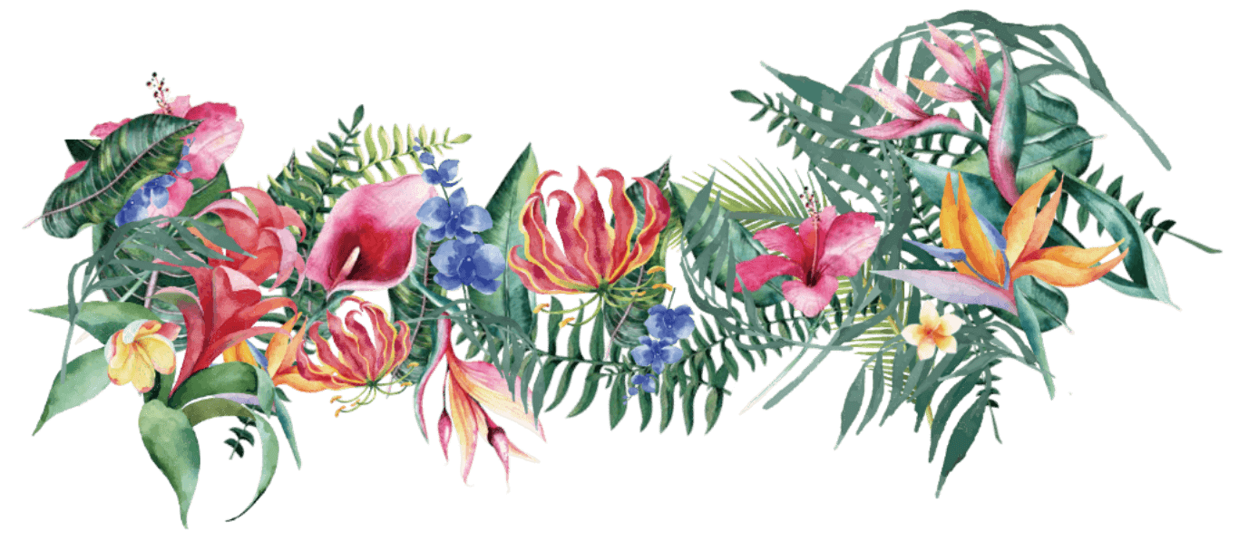 モアジャパン背景